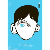 Livro - Extraordinário - R J PALACIO