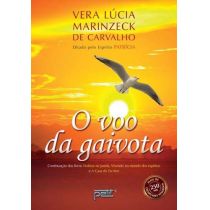 Livro - O Vôo da Gaivota - 22ª Ed. 2014 - Vera Lucia Marinzeck de Carvalho